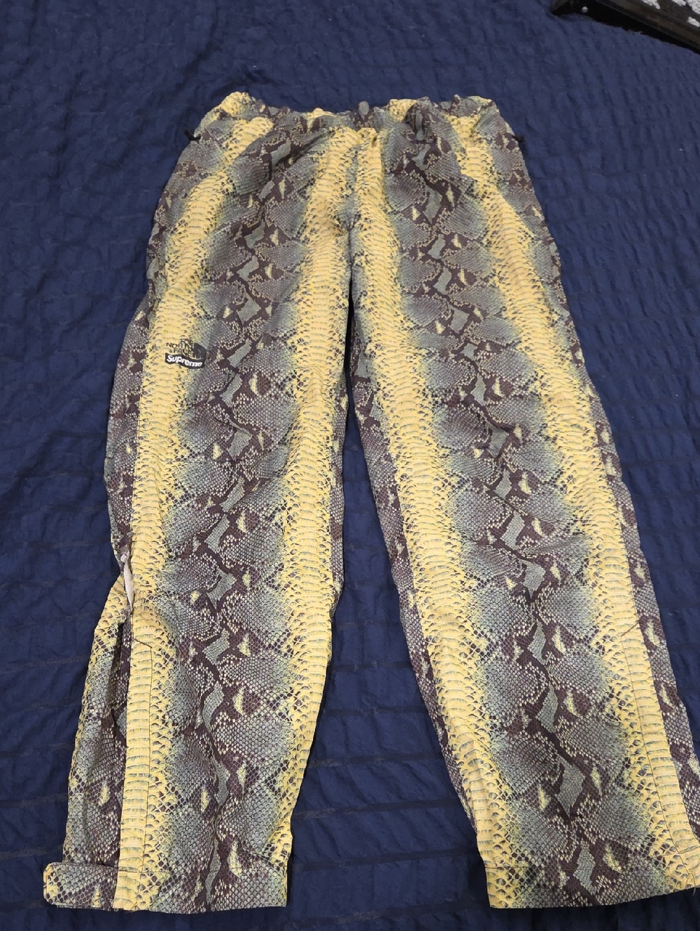 Supreme x The North Face Snakeskin Taped Seam Pant size M!